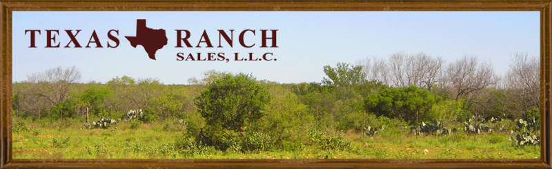 295 acres Zavala County