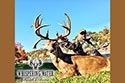 2985 acre ranch Menard County deer image 11