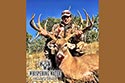 2985 acre ranch Menard County deer image 14