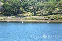 310 acre ranch Bandera County image 5