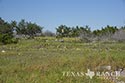 316 acre ranch Sutton County image 27