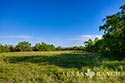 3235 acre ranch Zavala County image 18