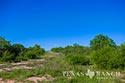 3235 acre ranch Zavala County image 2