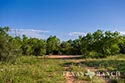 3235 acre ranch Zavala County image 8