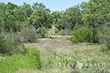 335 acre ranch Medina County image 13
