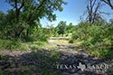 335 acre ranch Medina County image 18