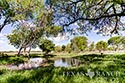 349 acre ranch Bee County image 45