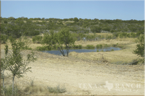 3515 Acres Zavala Image 13