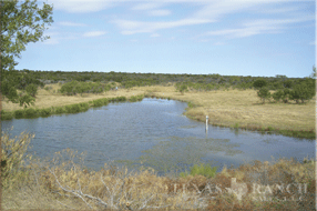 3515 Acres Zavala Image 14