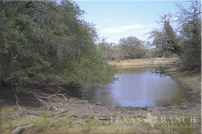 3515 Acres Zavala Image 15