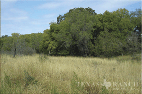 3515 Acres Zavala Image 4