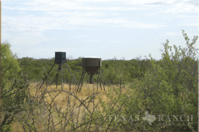 3515 Acres Zavala Image 6