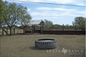 3515 Acres Zavala Image 9