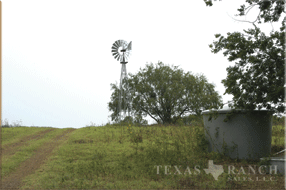 ranch 369 acres, Karnes county - image