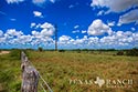 3845 acre ranch Webb County image 11