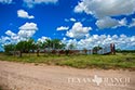 3845 acre ranch Webb County image 12