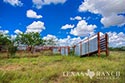 3845 acre ranch Webb County image 13