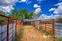 3845 acre ranch Webb County image 14