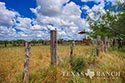 3845 acre ranch Webb County image 15