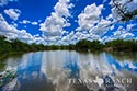 3845 acre ranch Webb County image 1