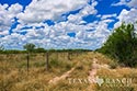 3845 acre ranch Webb County image 20