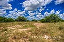 3845 acre ranch Webb County image 22