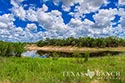 3845 acre ranch Webb County image 2