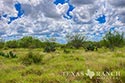 3845 acre ranch Webb County image 3