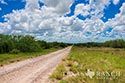 3845 acre ranch Webb County image 4