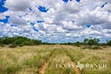 3845 acre ranch Webb County image 5