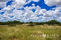 3845 acre ranch Webb County image 7