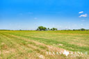 40 acre ranch Medina County image 28