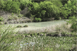 4000 acres kinney county image 5