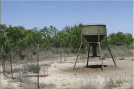 4000 acres kinney county image 6