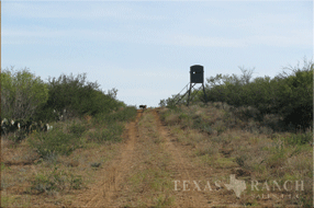 400 acre Ranch for sale image #3