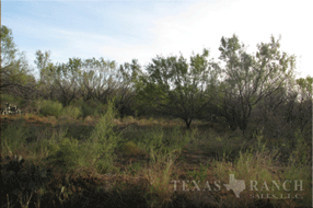  400 acre Ranch for sale image #4