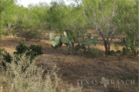  400 acre Ranch for sale image #6