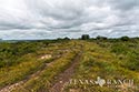 400 acre ranch Uvalde County image 13