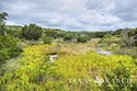 400 acre ranch Uvalde County image 15