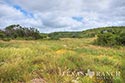 400 acre ranch Uvalde County image 17