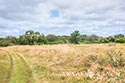 400 acre ranch Uvalde County image 21