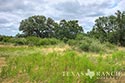 400 acre ranch Uvalde County image 22