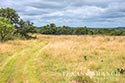 400 acre ranch Uvalde County image 25