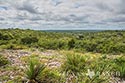 400 acre ranch Uvalde County image 7