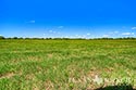 40.897 acre ranch Medina County image 25