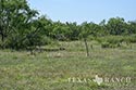 4200 acre ranch Kinney County image 16