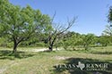 4200 acre ranch Kinney County image 43