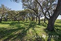 444 acre ranch Medina County image 18