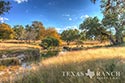 445 acre ranch Bandera County image 10