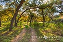 445 acre ranch Bandera County image 13